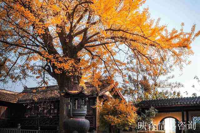 93年鸡命中贵人是谁 93年属鸡的贵人和小人是谁？-第3张图片-映森觅爱